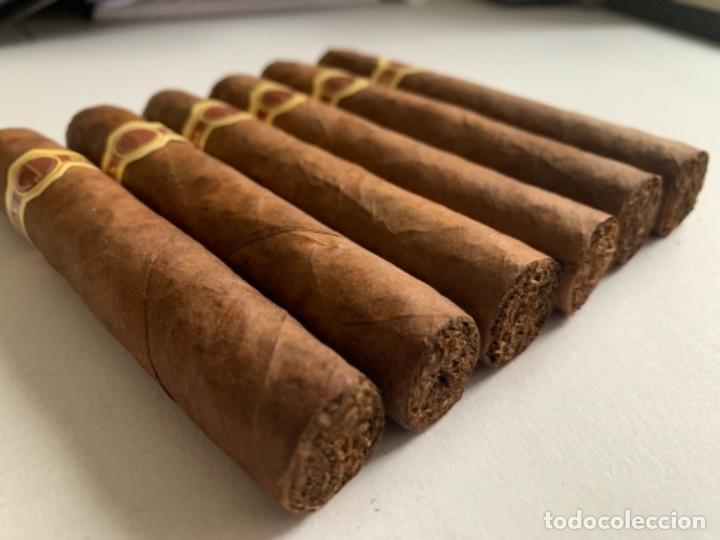 Puros Dunhill de colecci&oacute;n