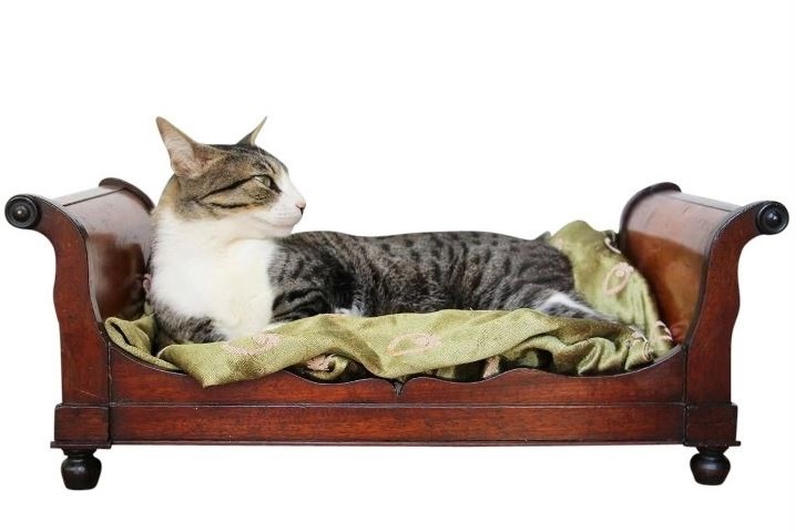 Cama de gato antigua
