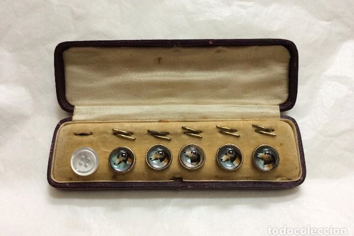 Botones de colecci&oacute;n