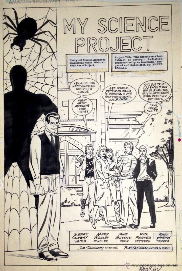 Spiderman en el instituto