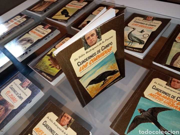 Cuadernos de campo de Félix Rodríguez de la Fuente