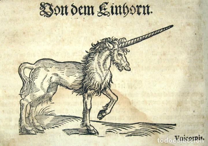 Unicornio de un bestiario