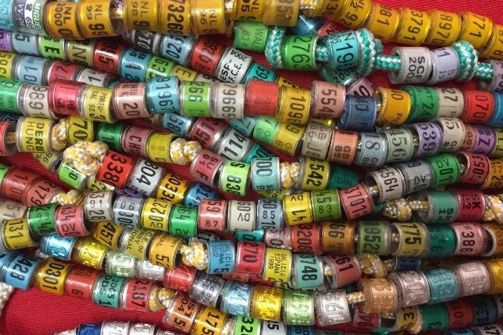 Anillas de colombofilia