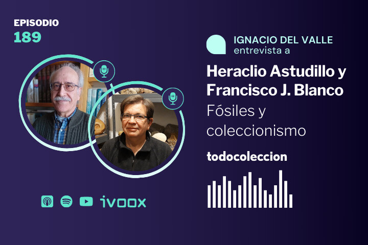 Coleccionismo de f&oacute;siles