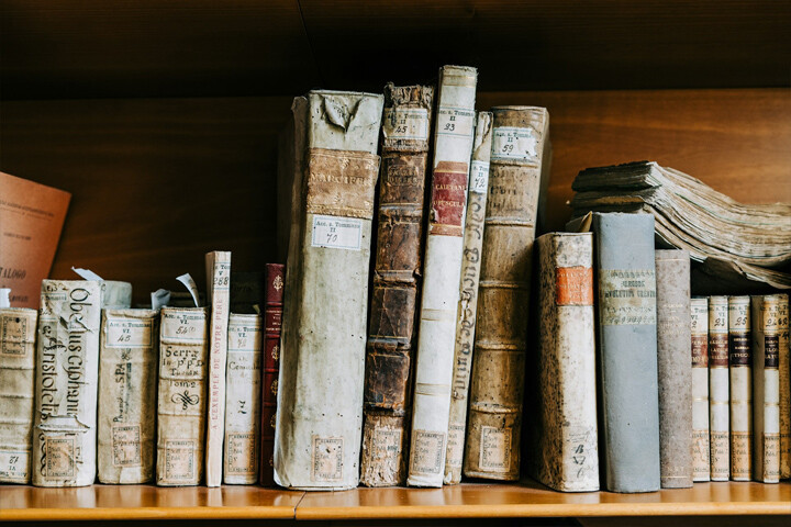 Las otras vidas de mis libros