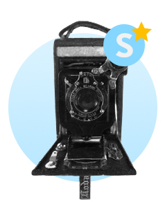 Visit the auction!