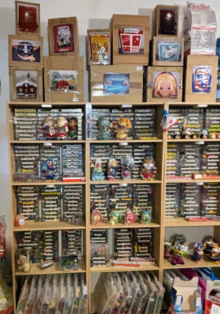 Ejemplo de colección Kinder bien organizada y clasificada de la familia Magalhaes