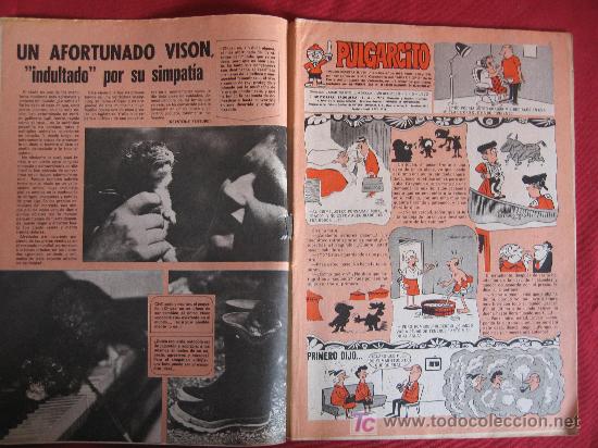 Tebeos: PULGARCITO - Foto 2