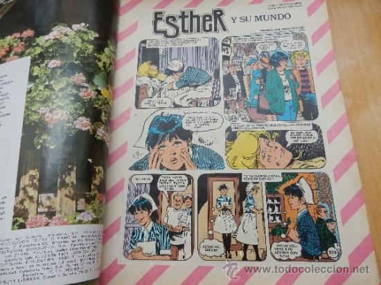 Tebeos: ESTHER NUM. 71 MARZO DE 1984 - Foto 2