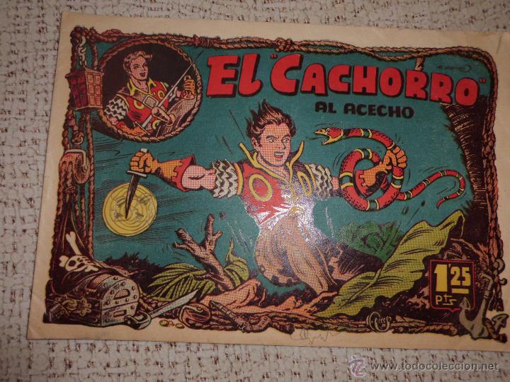 Tebeos: EL CACHORRO N&ordm; 79  BRUGUERA - Foto 1