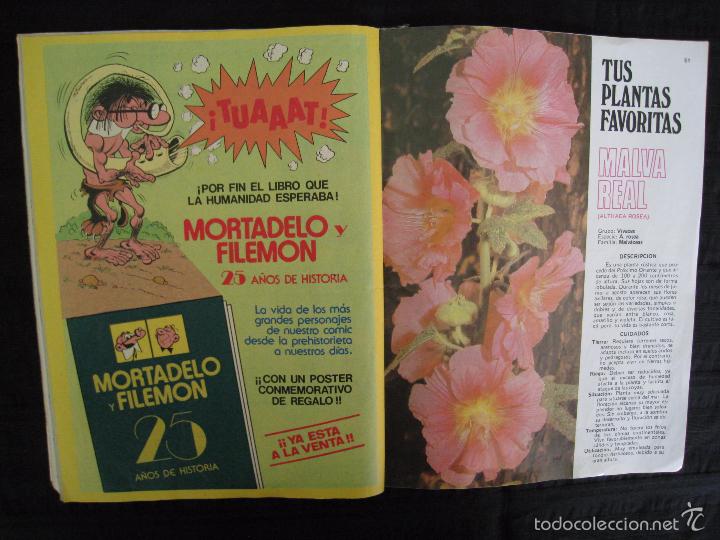 Tebeos: ESTHER - N&ordm; 53 - BRUGUERA. - Foto 7
