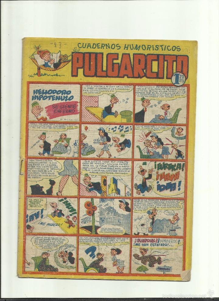 Tebeos: PULGARCITO N&ordm; 43 - Foto 1