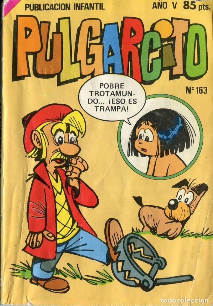 Tebeos: PULGARCITO N&ordm; 163 - Foto 1