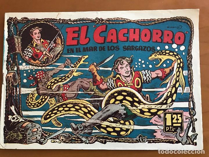 Tebeos: el cachorro n&ordm; 95 buen estado - Foto 1