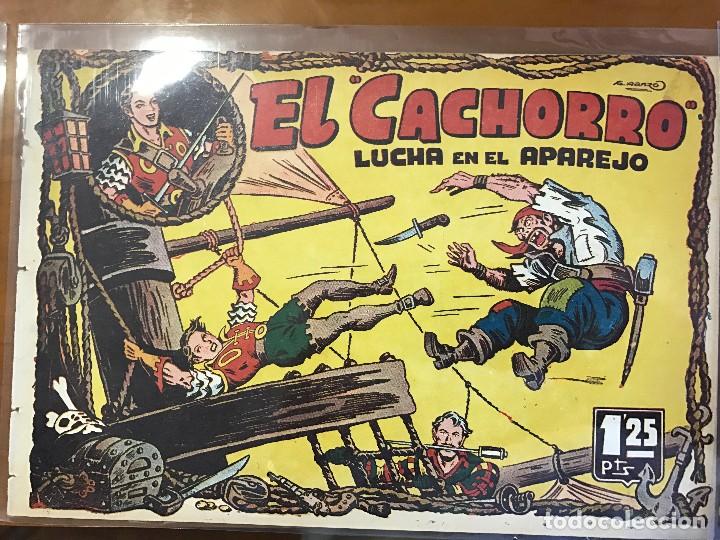 Tebeos: 504 el cachorro n&ordm; 19 - Foto 1