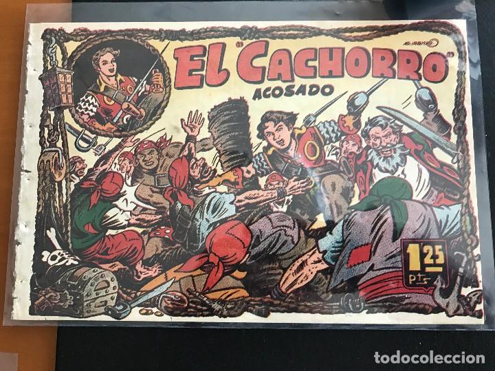 Tebeos: 567 el cachorro n&ordm; 51 - Foto 1