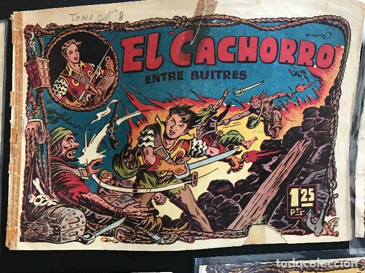 Tebeos: 594 el cachorro n&ordm; 71 - Foto 1