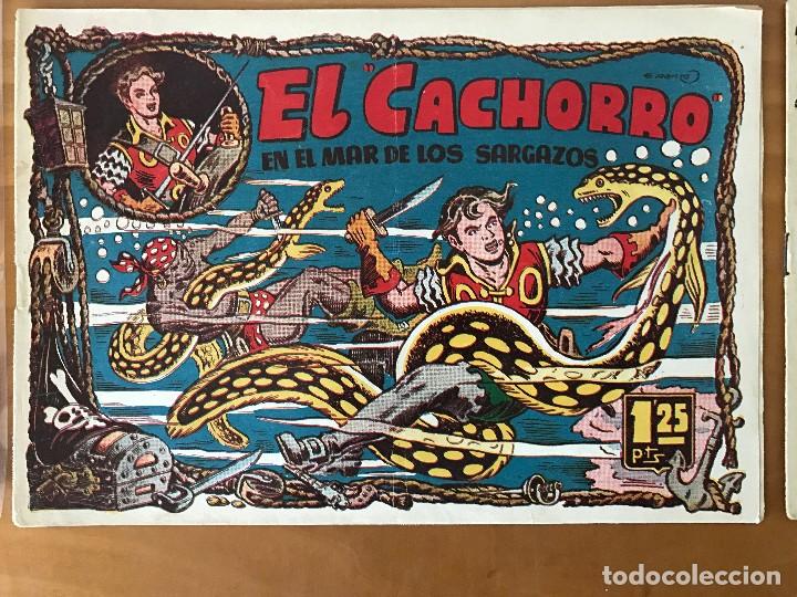 Tebeos: 657 el cachorro n&ordm; 95 - Foto 1
