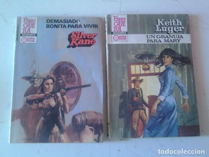 Tebeos: lote dos bolsilibros bruguera