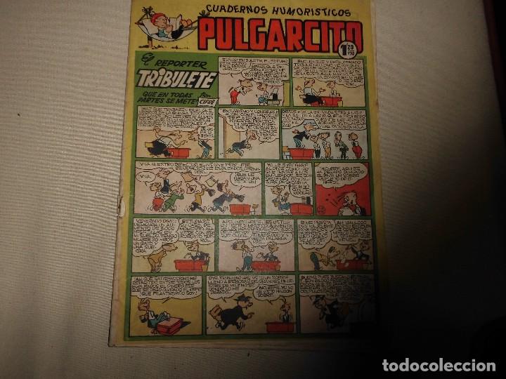 Tebeos: PULGARCITO N&ordm; 186 - Foto 1