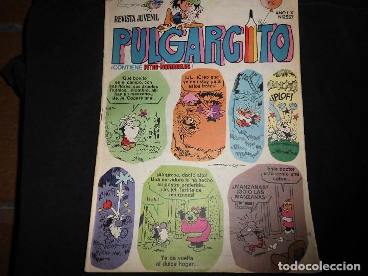 Tebeos: PULGARCITO N&ordm; 2557 - Foto 1