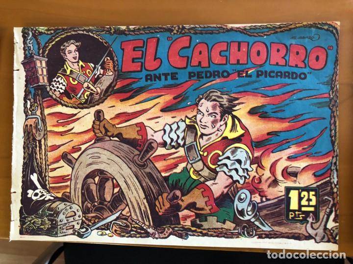 Tebeos: el cachorro n&ordm; 21 - Foto 1