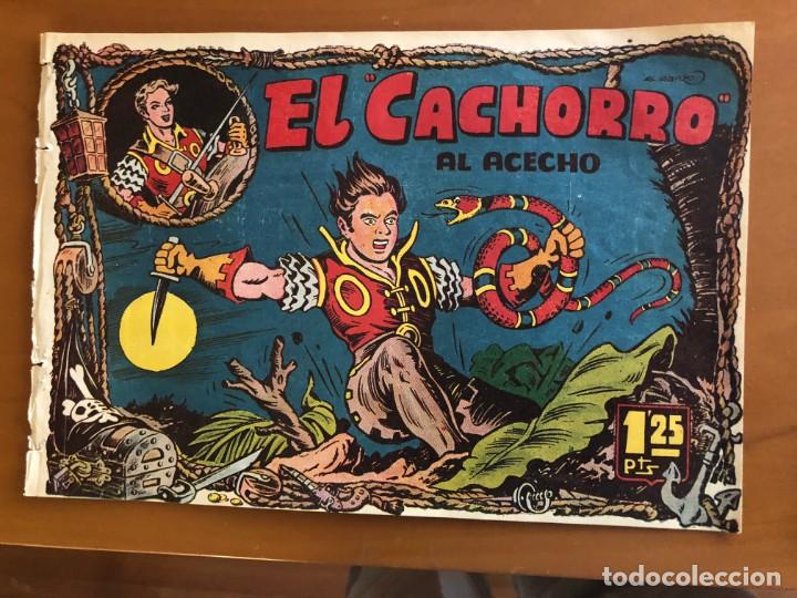 Tebeos: el cachorro n&ordm; 79 - Foto 1