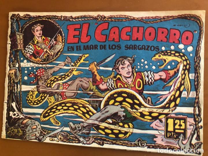 Tebeos: el cachorro n&ordm; 95 - Foto 1