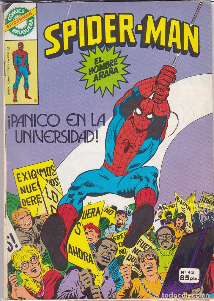 Tebeos: COMIC COLECCION SPIDER-MAN N&ordm; 43 - Foto 1
