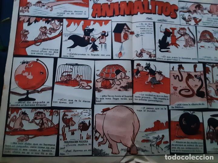 Tebeos: EL DDT , N&Uacute;MERO 300 - Foto 2