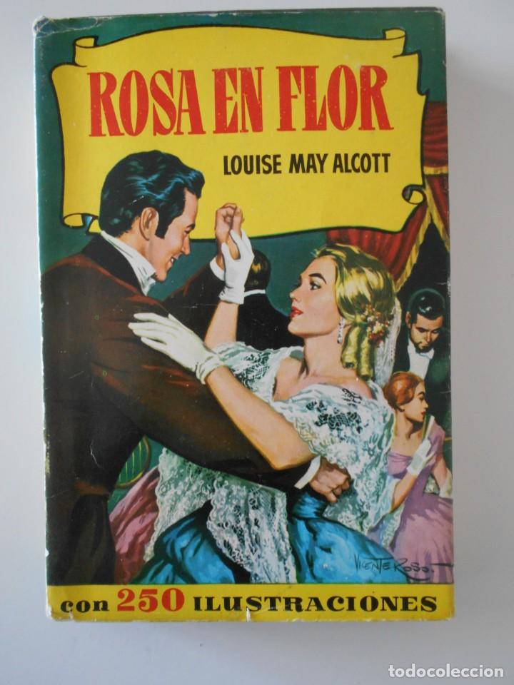 Tebeos: ROSA EN FLOR. LOUISE MAY ALCOTT. COLECCION HISTORIAS 119. EDITORIAL BRUGUERA, 1ª EDICION 1960. TAPA - Foto 1 - 248151225