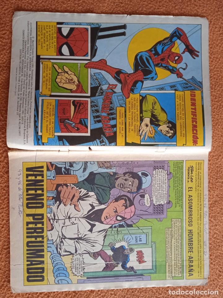 Tebeos: SPIDER-MAN 34 BRUGUERA - Foto 2