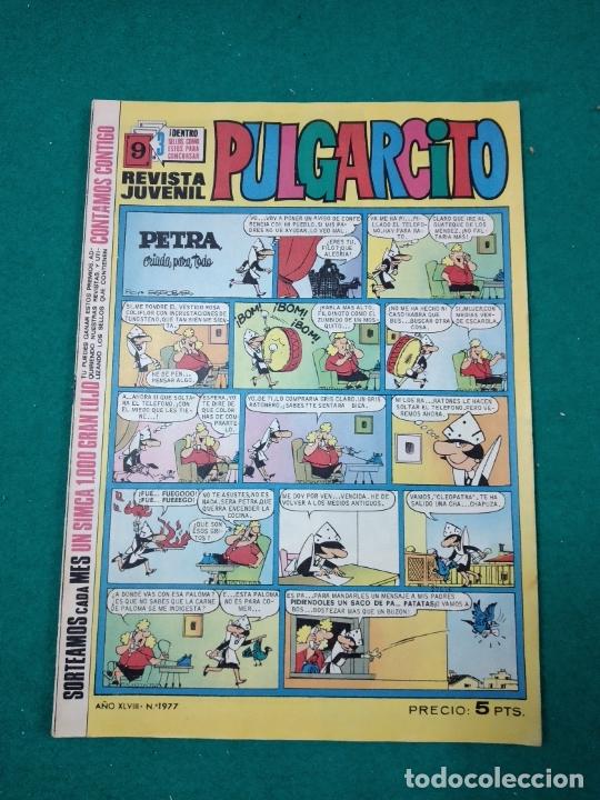 Tebeos: PULGARCITO N&ordm; 1977 - Foto 1