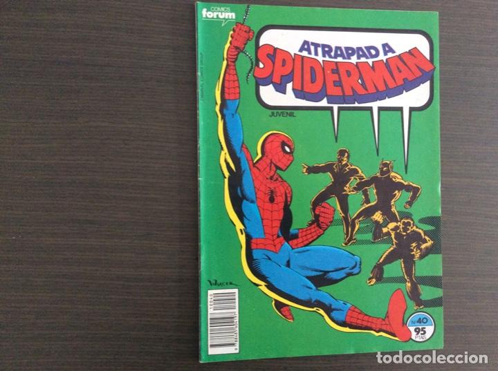 Tebeos: SPIDERMAN COLECCION COMPLETA BRUGERA + FORUM - Foto 134