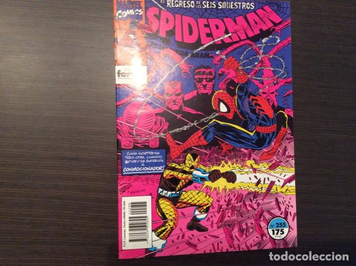 Tebeos: SPIDERMAN COLECCION COMPLETA BRUGERA + FORUM - Foto 351