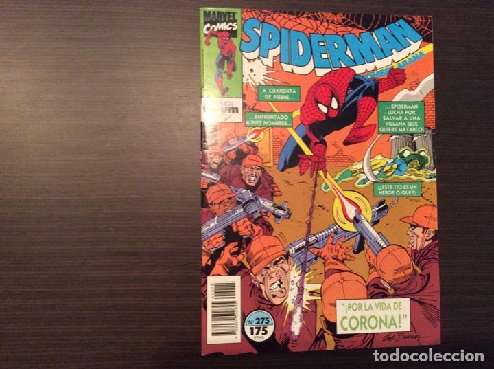 Tebeos: SPIDERMAN COLECCION COMPLETA BRUGERA + FORUM - Foto 371