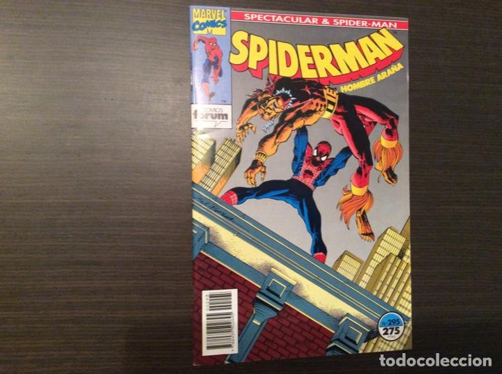 Tebeos: SPIDERMAN COLECCION COMPLETA BRUGERA + FORUM - Foto 391