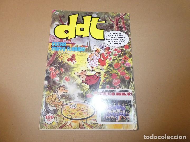 Tebeos: ddt extra mayo florido 1982 - Foto 1