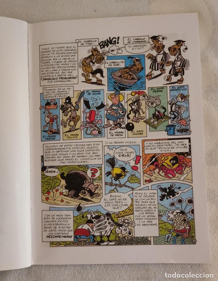 Tebeos: MORTADELO Y FILEMON. - Foto 3