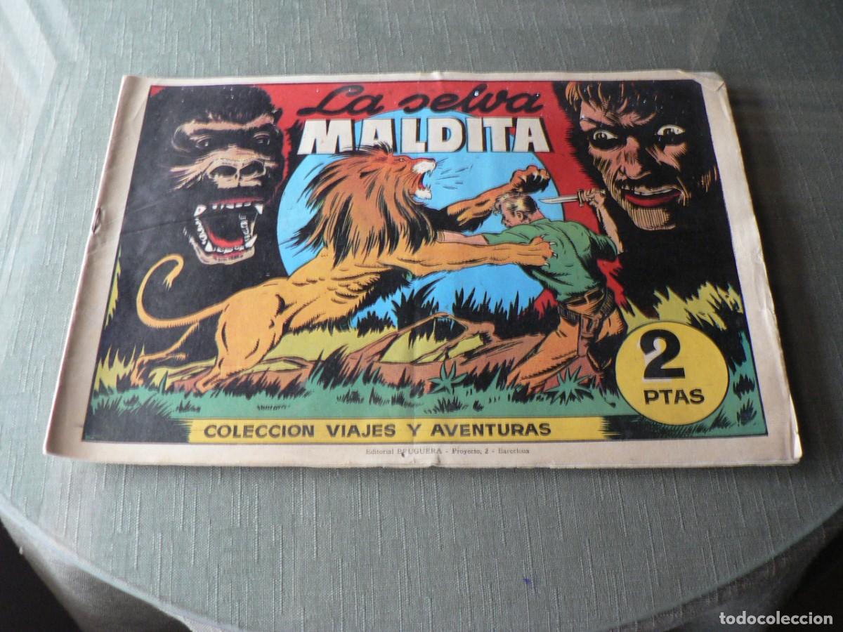 BDs: LA SELVA MALDITA