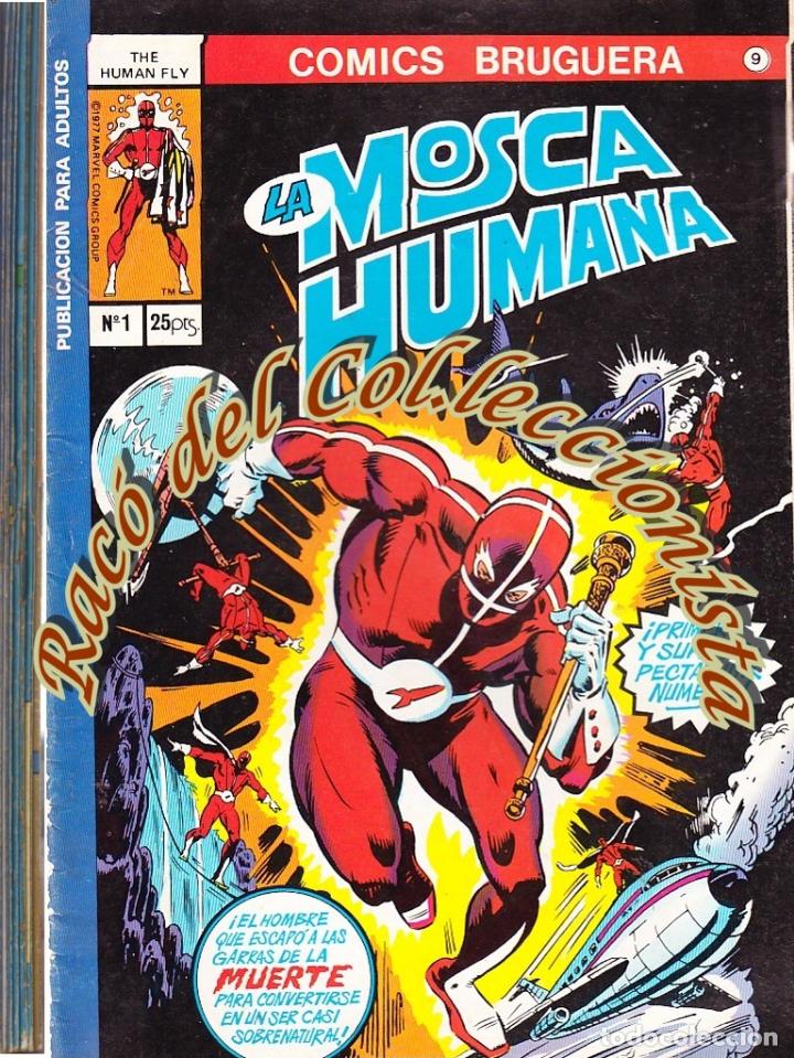 BDs: LA MOSCA HUMANA , SAL BUSCEMA , COMICS BRUGUERA COMPLETA ( DEL 1 AL 8 ), 1978