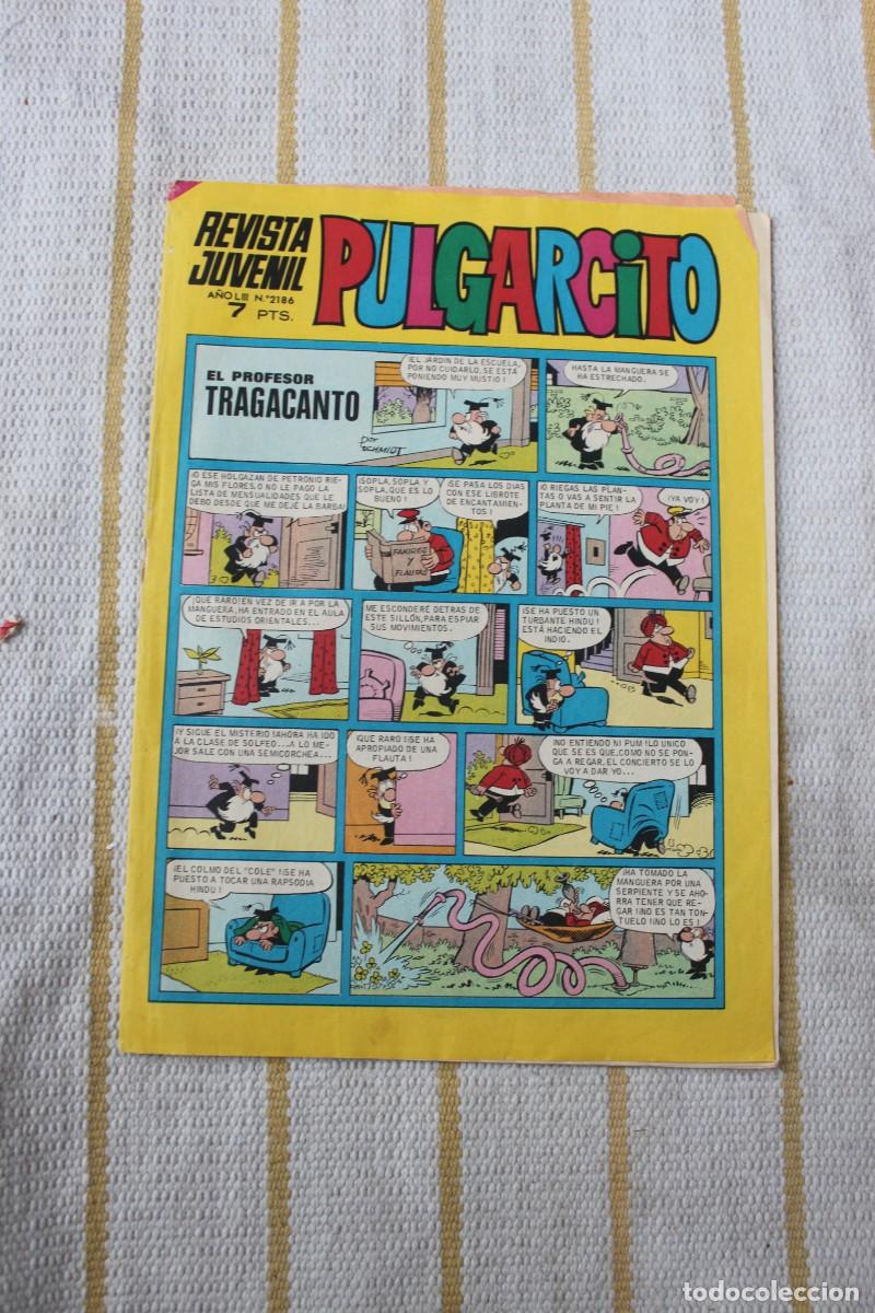 Tebeos: PULGARCITO N&ordm; 2186 - Foto 1