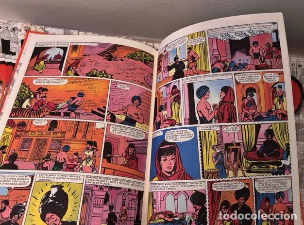 Tebeos: Colecci&oacute;n completa EL JABATO - Foto 3