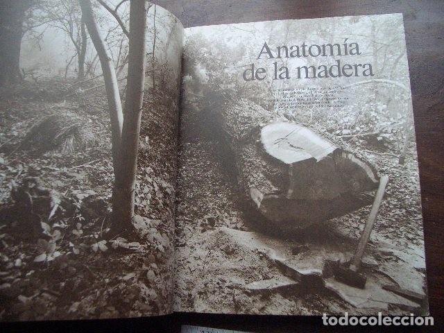 Tebeos: LA MADERA. EDITORIAL BLUME.- VV.AA - Foto 4