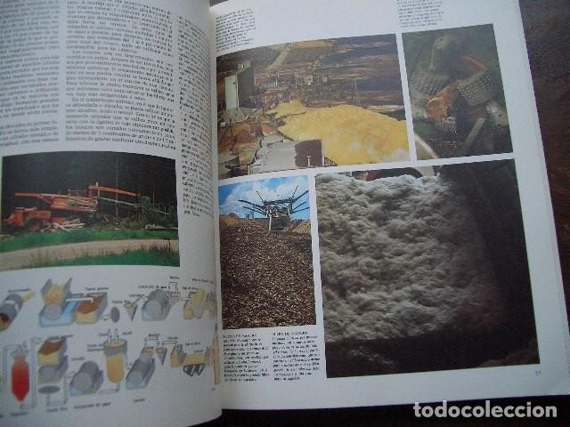 Tebeos: LA MADERA. EDITORIAL BLUME.- VV.AA - Foto 8