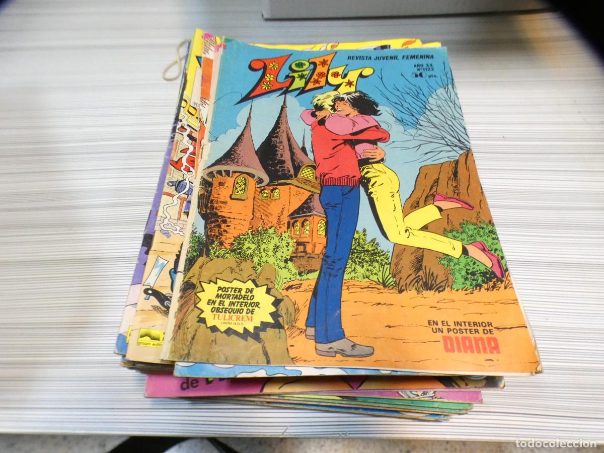 BDs: ARKANSAS1980 COMIC EDITORIAL BRUGUERA ESTADO CORRECTO LILY 1122