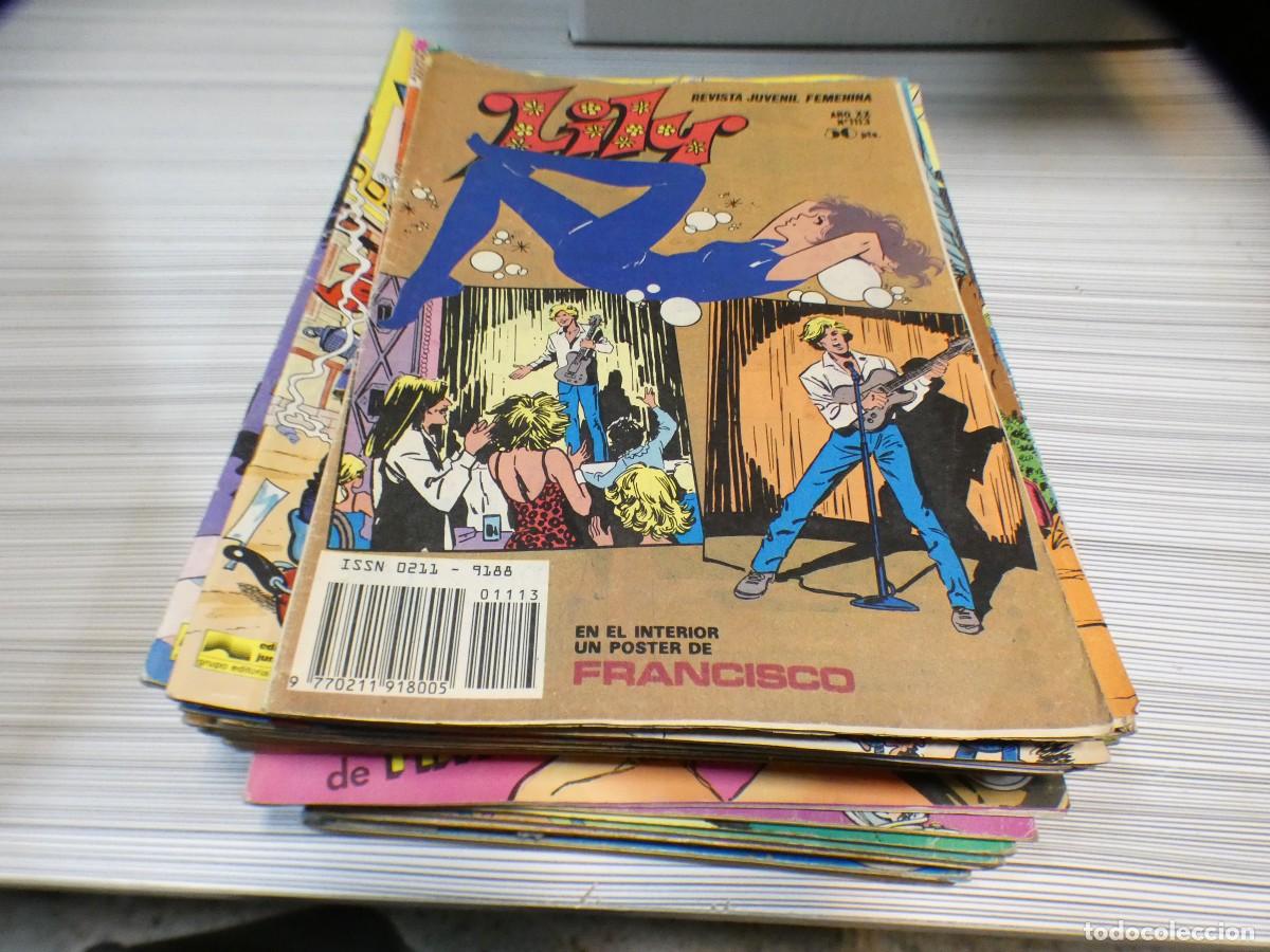 BDs: ARKANSAS1980 COMIC EDITORIAL BRUGUERA ESTADO CORRECTO LILY 1113