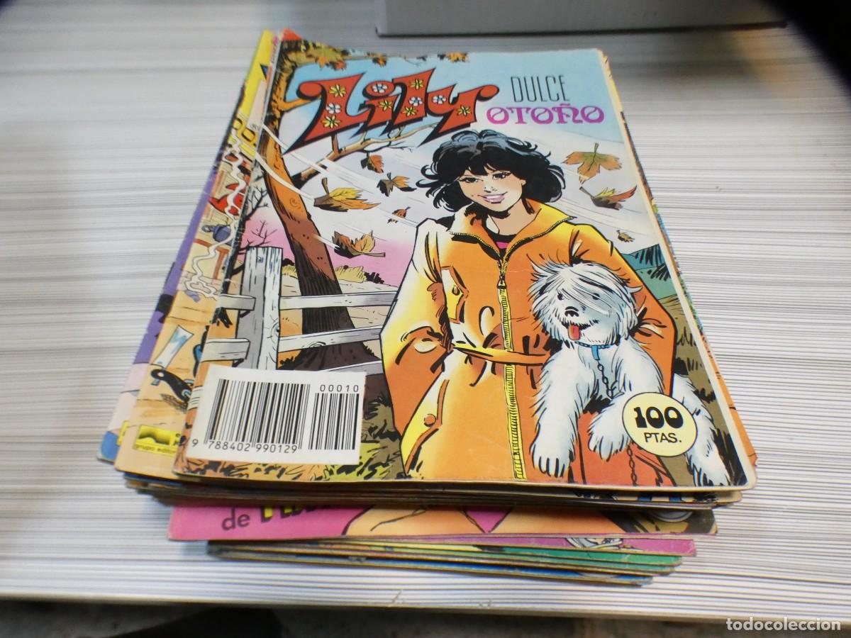 BDs: ARKANSAS1980 COMIC EDITORIAL BRUGUERA ESTADO CORRECTO LILY DULCE OTO&Ntilde;O