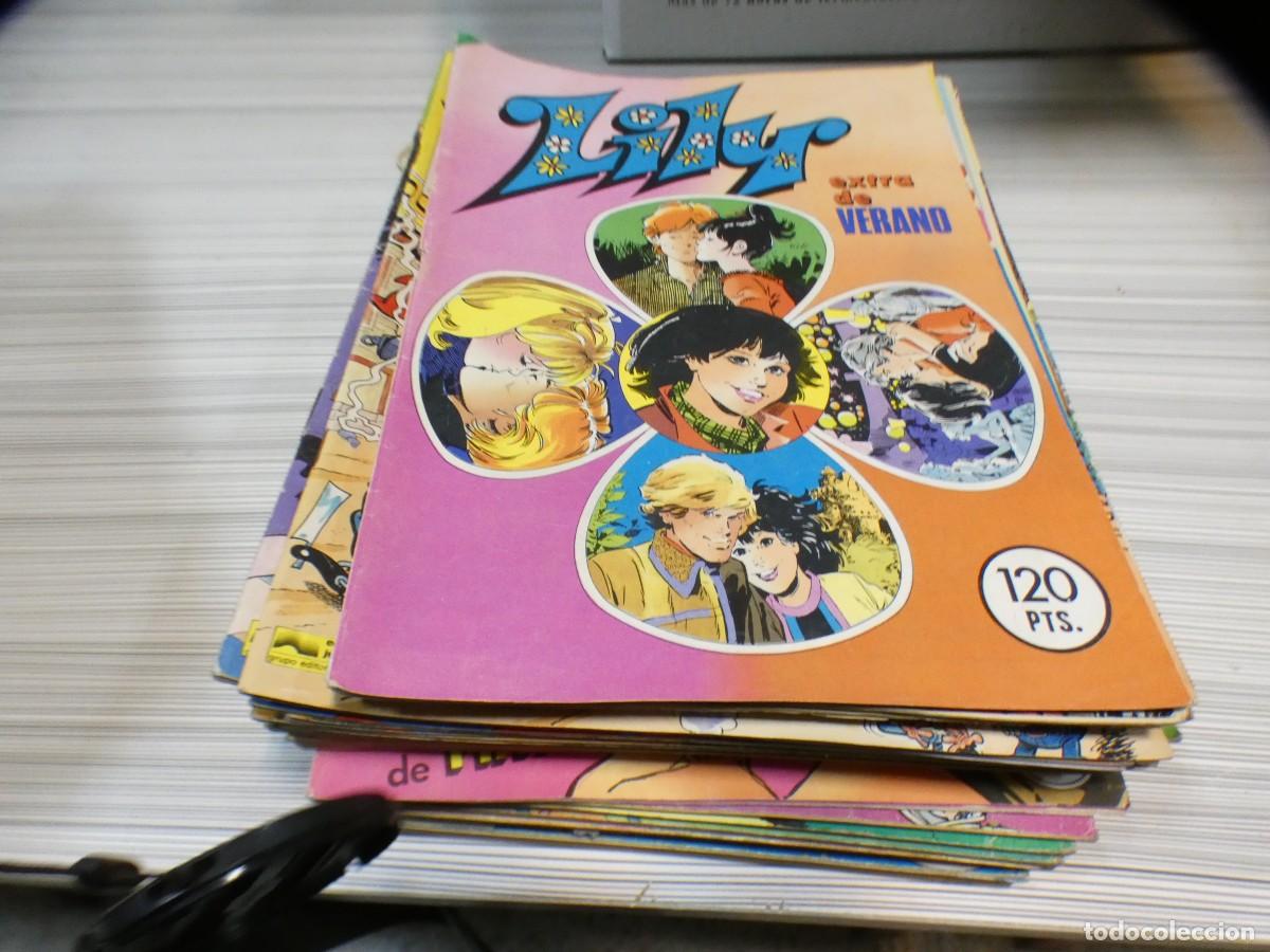 Comics: ARKANSAS1980 COMIC EDITORIAL BRUGUERA ESTADO CORRECTO LILY 34