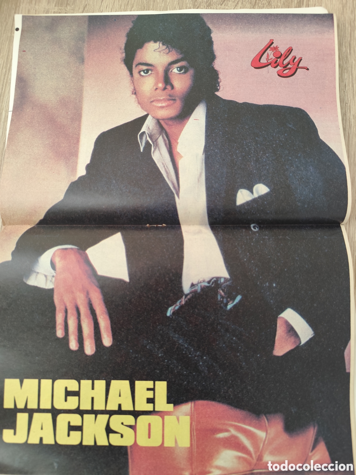 Tebeos: Lily-Michael Jackson ,contiene poster - Foto 2